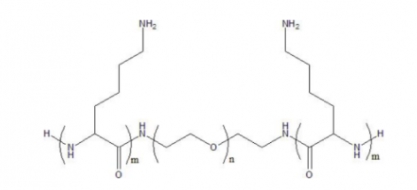 PLL-b-PEG-b-PLL 聚赖氨酸聚乙二醇聚赖氨酸