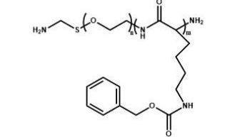 NH2-PEG-PZLL 氨基聚乙二醇聚赖氨酸苄酯