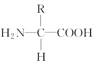 PNIPAAM2000-COOH；羧基-聚(N-异丙基丙烯酰胺)