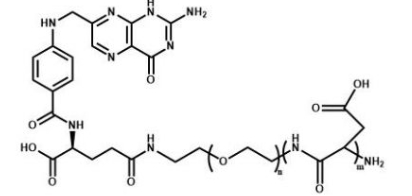  PAsp-PEG-Folate  聚天冬氨酸聚乙二醇叶酸