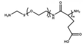 PGA-PEG-NH2  聚谷氨酸-聚乙二醇-氨基
