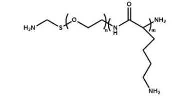  NH2-PEG-PLL 	氨基聚乙二醇聚赖氨酸