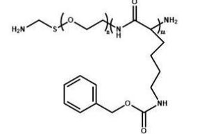  NH2-PEG-PZLL 氨基聚乙二醇聚赖氨酸苄酯