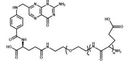 PGA-PEG-Folate  叶酸聚乙二醇聚谷氨酸