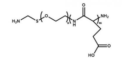 PGA-PEG-NH2 氨基聚乙二醇聚谷氨酸