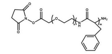 PPHE-PEG-NHS 聚苯丙氨酸-聚乙二醇-活性酯