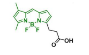 BDP FL acid，165599-63-3  Ex/Em(nm)	503/509