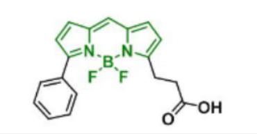 BDP R6G carboxylic acid，174881-57-3
