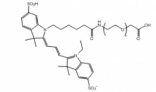 Cy3-PEG-COOH Cy3-聚乙二醇-羧基