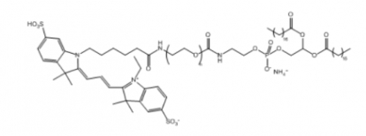  Cy3-PEG-DSPE Cy3-聚乙二醇-二硬脂酰基磷脂酰乙醇胺