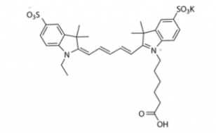146368-11-8 diSulfo-Cy5 carboxylic acid(Ethyl) 二磺酸基Cy5-羧基(乙基）