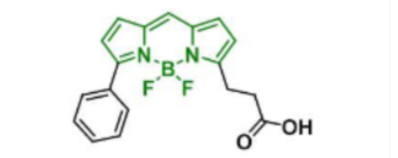 BDP R6G carboxylic acid，174881-57-3