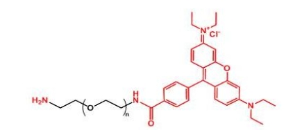 NH2-PEG-Rhodamine RB-PEG-NH2 罗丹明聚乙二醇氨基