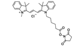1032678-38-8 NHS ester(Methyl) 脂性Cy3 活性酯(Me)