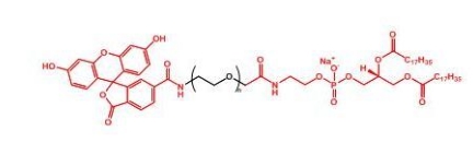 FITC-PEG-DSPE DSPE-PEG-FITC 荧光素聚乙二醇磷脂