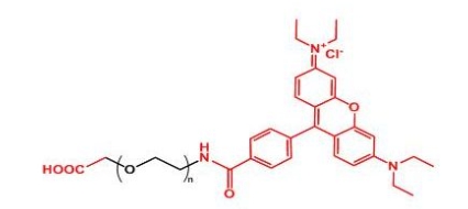 COOH-PEG-Rhodamine RB-PEG-COOH	罗丹明聚乙二醇羧基