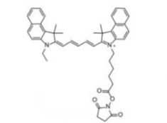 1376434-73-9 Cyanine5.5 NHS Ester；Cy5.5 NHS Ester(Ethyl)