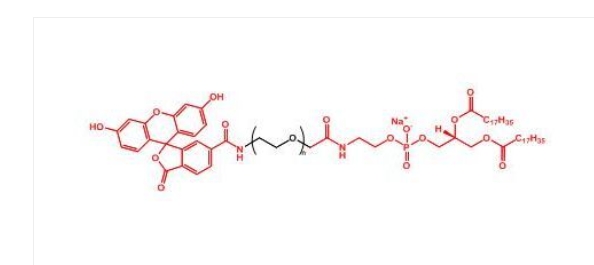 荧光素聚乙二醇磷脂 FITC-PEG-DSPE