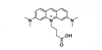 1258222-14-8 ATTO 495 ATTO 495 acid