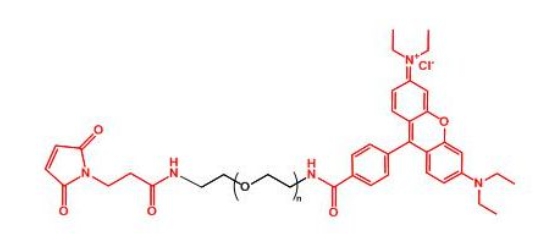 罗丹明聚乙二醇马来酰亚胺 Rhodamine-PEG-MAL