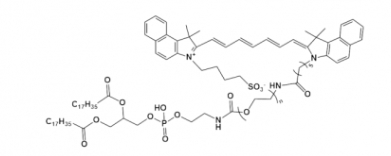 ICG-PEG-DSPE 吲哚菁绿-聚乙二醇-磷脂