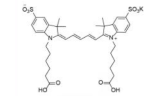 252255-40-6 diSulfo-Cy5 carboxylic acid(Di) 二磺酸基-Cy5-二羧基