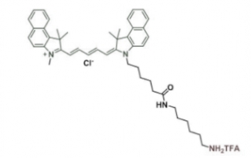 2097714-45-7 Cyanine5.5 amine 脂性Cy5.5 氨基