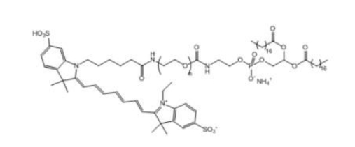   Cy7-PEG-DSPE，Cy7-聚乙二醇-磷脂， Cy7-聚乙二醇-二硬脂酰基磷脂酰乙醇胺