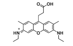 863655-50-9 ATTO 520 acid 分子式 C22H27N2O3+