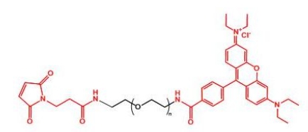  MAL-PEG-Rhodamine 罗丹明聚乙二醇马来酰亚胺