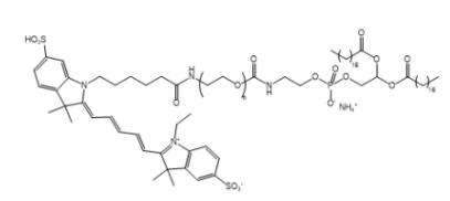 Cy5-PEG-DSPE Cy5-聚乙二醇-二硬脂酰基磷脂酰乙醇胺