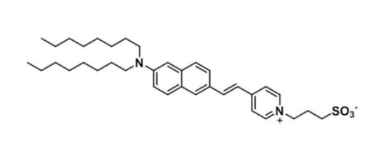 	Di-8-ANEPPS，157134-53-7