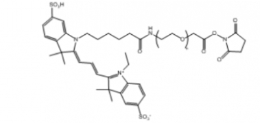 Cy3-PEG-NHS Cy3-PEG-SC Cy3-聚乙二醇-琥珀酰亚胺酯
