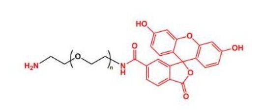 荧光素聚乙二醇氨基 ,FITC-PEG-NH2	