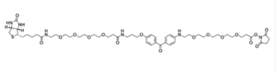 UV-Tracer Biotin NHS ester；1628029-01-5
