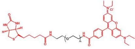 RB-PEG-BN Rhodamine-PEG-BIOTIN 罗丹明聚乙二醇生物素