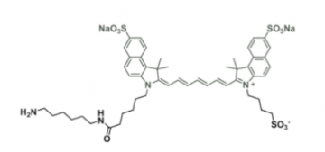 disulfo-ICG-amine/水溶性ICG-amine  水溶性吲哚菁绿-氨基