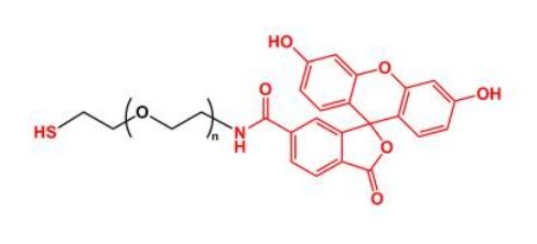 荧光素聚乙二醇巯基 FITC-PEG-SH