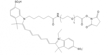 Cy7-PEG-NHS Cy7-PEG-NHS ester Cy7-聚乙二醇-活性酯