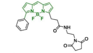  2183473-32-5 BDP R6G maleimide  C24H23BF2N4O3