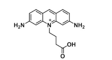 ATTO 465 acid；1156537-96-0