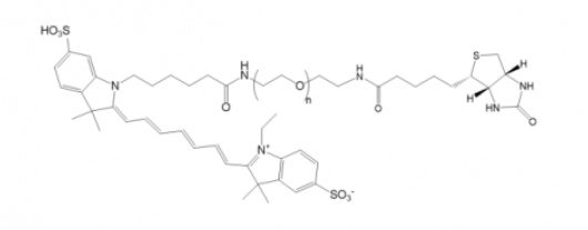 Cy7-PEG-Biotin，Cy7-聚乙二醇-生物素