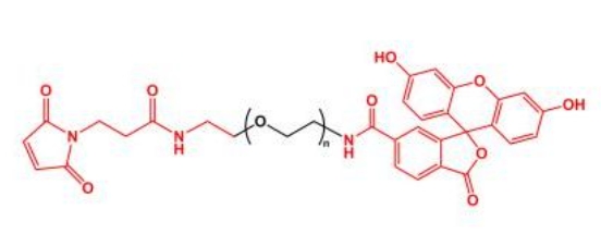 荧光素聚乙二醇马来酰亚胺 FITC-PEG-MAL