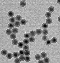 水溶性上转换纳米颗粒（980激发540发射）
