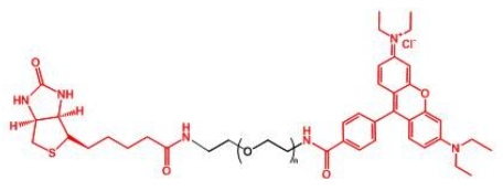  RB-PEG-BN Rhodamine-PEG-BIOTIN 生物素PEG罗丹明
