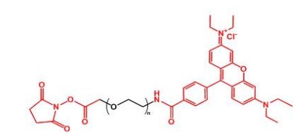 RB-PEG-SC Rhodamine-PEG-NHS 罗丹明聚乙二醇活性酯