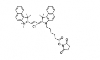 Cy3.5 NHS ester/Cyanine3.5 NHS ester(Methyl)