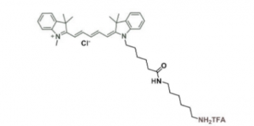 Cyanine5 amine; Cy5 NH2 脂性Cy5-氨基；Cy5-胺