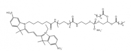 Cy3-PEG-DSPE Cy3-聚乙二醇-二硬脂酰基磷脂酰乙醇胺