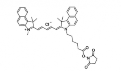 Cyanine5.5 NHS Ester/Cy5.5 NHS Ester(Methyl)